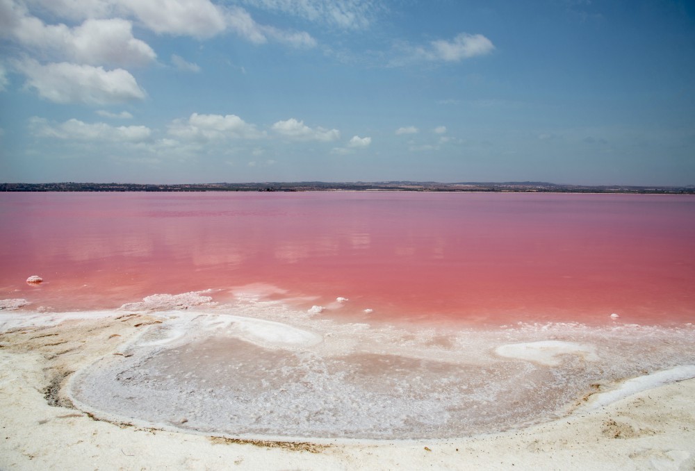 Las Salinas w Torrevieja