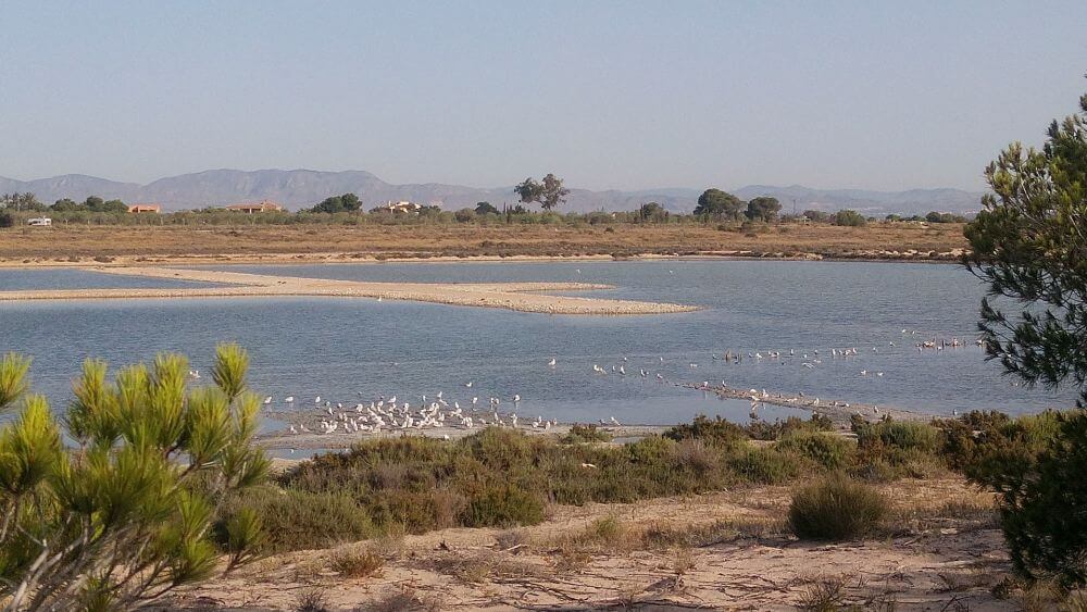 Las Salinas w Santa Pola