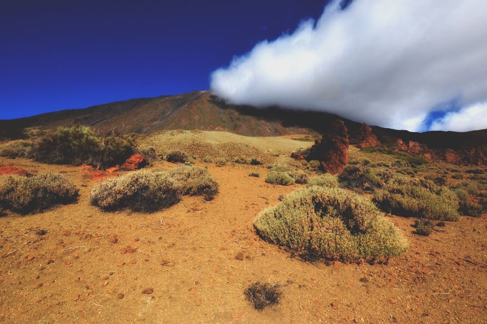 Park Narodowy Teide na Teneryfie